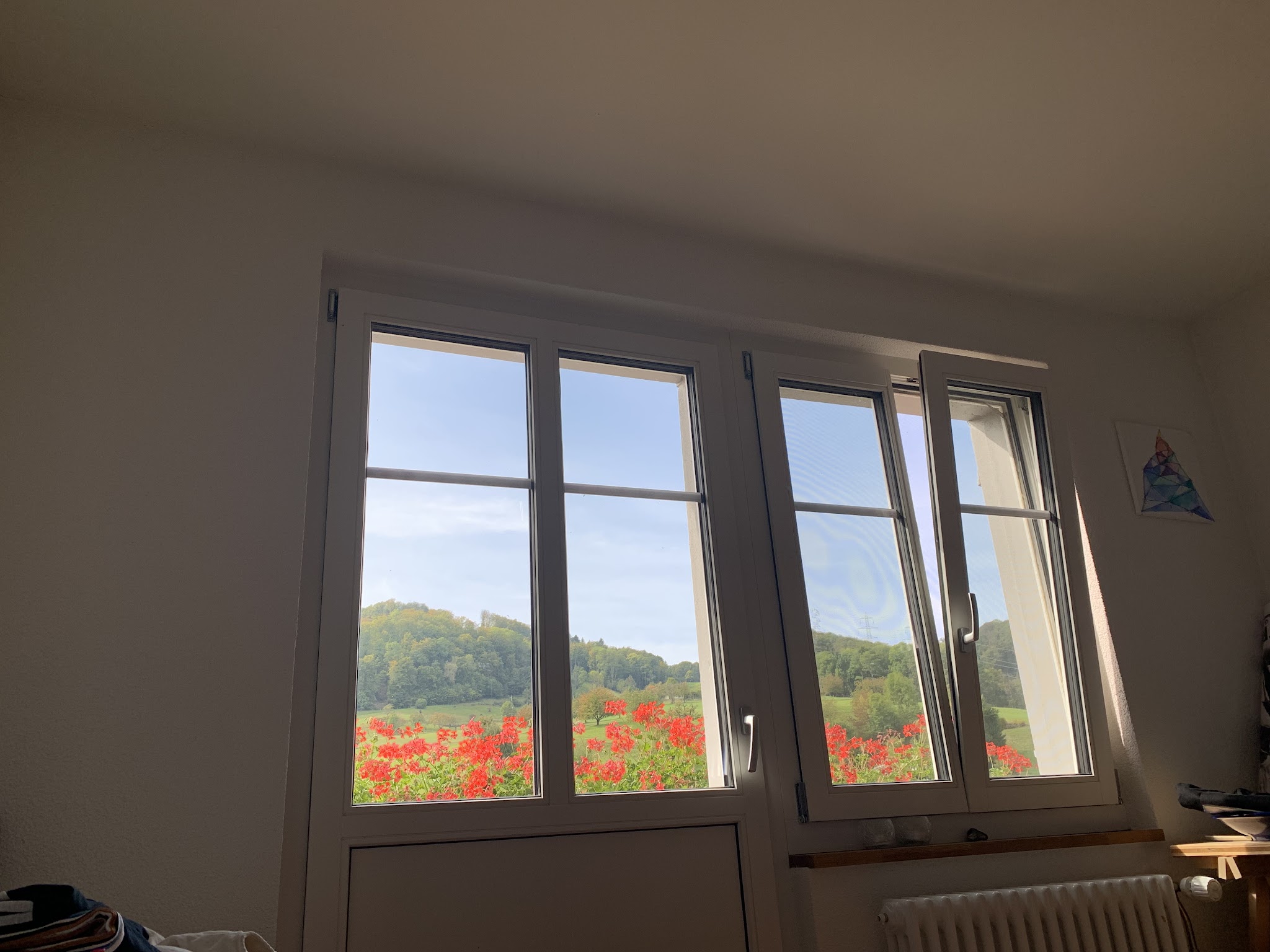 Fensterprojekt der Siegenthaler AG